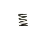 Turbosmart WG40 5PSI Inner Spring Brown/Grey thumbnail 4