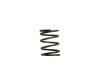 Turbosmart WG40 5PSI Inner Spring Brown/Grey thumbnail 5
