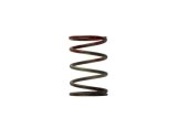 Turbosmart WG40 11PSI Middle Spring Brown/Red thumbnail 3
