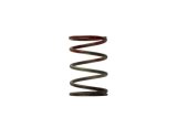 Turbosmart WG40 11PSI Middle Spring Brown/Red thumbnail 4