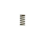 Turbosmart WG60 Gen-V 3psi Inner Spring thumbnail 2