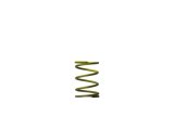 Turbosmart WG 45/50 Gen-V 5 PSI Inner Spring Yellow thumbnail 1