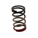 Turbosmart Gen-V WG40/45 HP 40 PSI Spring Upgrade - Black/Red thumbnail 2