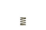 Turbosmart Gen-V WG45/50 3psi Orange Inner Spring thumbnail 1