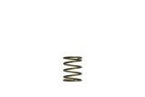 Turbosmart Gen-V WG45/50 3psi Orange Inner Spring thumbnail 2