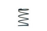 Turbosmart Gen-V WG45/50 14psi Blue Outer Spring thumbnail 1