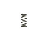 Turbosmart Gen-V WG60 5psi Purple Inner Spring thumbnail 1