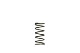 Turbosmart Gen-V WG60 5psi Purple Inner Spring thumbnail 2