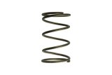 Turbosmart Gen-V WG60 14psi Brown Outer Spring thumbnail 1