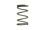 Turbosmart Gen-V WG60 14psi Brown Outer Spring thumbnail 2
