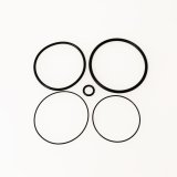Turbosmart BOV RacePort/Bubba O-Ring Kit thumbnail 1