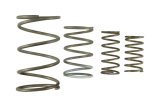 Turbosmart Gen V WG60 Spring Replacement Kit thumbnail 2