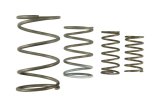 Turbosmart Gen V WG60 Spring Replacement Kit thumbnail 3