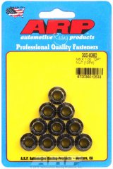 ARP M8 x 1.00 12pt Nut Kit (10 pack) thumbnail 1