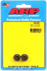 ARP M9 x 1.00 12pt Nut Kit (Set of 2) thumbnail 1