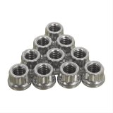 ARP 1/4-20in SS 12pt Nut Kit (10/pkg) thumbnail 1