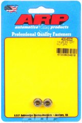 ARP 1/4-28 SS 12pt Nut Kit thumbnail 1