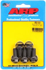 ARP M10 x 1.25 x 20 Hex Black Oxide Bolts (5/pkg) thumbnail 2