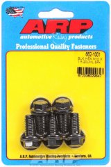 ARP M10 x 1.50 x 20 Hex Black Oxide Bolts (5/pkg) thumbnail 2