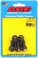 ARP 5/16-18 X 0.750 Hex Black Oxide Bolts thumbnail 5