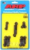 ARP SBC LT1 6.2L Hex Timing Cover Bolt Kit thumbnail 5