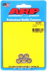 ARP 1/4-20 SS coarse hex nut kit thumbnail 1