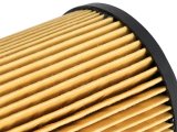 aFe ProGuard D2 Fluid Filters Oil F/F OIL BMW Gas Cars 96-06 L6 thumbnail 5