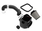 aFe Magnum FORCE Stage-2 Cold Air Intake System w/ Pro DRY S Media 16-19 Nissan Titan XD V8-5.0L(td) thumbnail 6