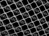 aFe MagnumFLOW Pro 5R Intake Replacement Air Filters (For 50-70091D/R & 50-70100D/R) - Pair thumbnail 4