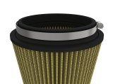 aFe 23-24 Ford F-150 Raptor R V8-5.2L Magnum FLOW Pro-GUARD 7 Air Filter thumbnail 2