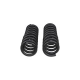 ARB / OME Front Coil Spring Set 03-23 Toyota 4Runner thumbnail 3