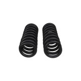 ARB / OME Front Coil Springs thumbnail 5