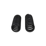 ARB / OME Set of Coil Springs thumbnail 4