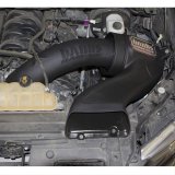 Banks Power 15-17 Ford F-150 5.0L Ram-Air Intake System - Oiled Filter thumbnail 1