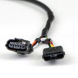 Banks Power Pedal Monster Kit Sumitomo TS 025 Sealed Series 6-Way CONFIG 1 PM-05 With iDash Pro thumbnail 2