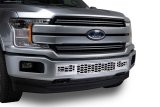 Putco 18-20 Ford F-150 - Hex Shield Style - Polished SS Bumper Grille Inserts thumbnail 4