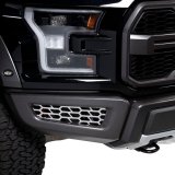 Putco 18-20 Ford F-150 Raptor - Hex Shield - Polished SS Bumper Grille Inserts thumbnail 2