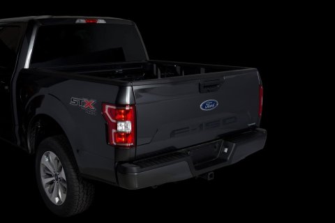 Putco 18-20 Ford F-150 (Cut Letters/Black Platinum) Tailgate thumbnail 2