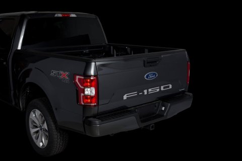 Putco 18-20 Ford F-150 (Cut Letters/Stainless Steel) Tailgate thumbnail 1