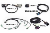 Haltech NEXUS Rebel LS Gen IV 6-Pin DBW Throttle/EV6 Injectors/Manual Transmission thumbnail 2