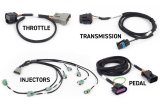 Haltech NEXUS Rebel LS Gen IV 6-Pin DBW Throttle/EV6 Injectors/Manual Transmission thumbnail 6