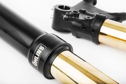 Ohlins 11-18 Ducati Diavel Custom 48 Blackline Fork thumbnail 3