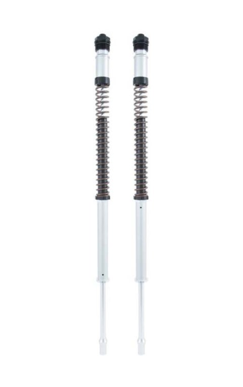 Ohlins 13-17 Kawasaki Ninja 300 (EX300) NIX 22 Cartridge Kit (Springs/Oil Sold Separately) thumbnail 1
