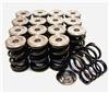 GSC P-D Honda B-Series Vtec Dual Spring Set and Titanium Retainer thumbnail 3