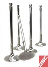 GSC P-D Subaru EJ205/EJ207/EJ257 Chrome Polished Super Alloy Exhaust Valve - 32mm Head - Set of 50 thumbnail 1