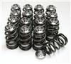 GSC P-D SR20 Single Spring w/ Titanium Retainer Valvetrain Kit thumbnail 3