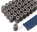 GSC P-D Audi R8 V10 / Lamborghini Huracan V10 5.2L Valve Spring & Ti Retainer Kit (w/Seats & Seals) thumbnail 1