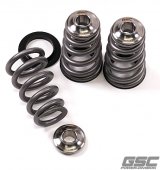 GSC P-D Nissan VQ35 Extreme Conical Valve Spring Titanium Retainer and Spring Seat Kit thumbnail 1