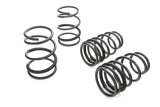 Eibach Pro-Kit for 04-07 Subaru WRX thumbnail 1