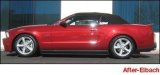 Eibach Sportline Kit for 11 Ford Mustang Convertible 3.7L-V6/5.OL-V8 thumbnail 4